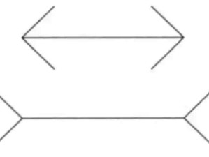 缪勒莱尔错觉：看到的不一定对，感觉到的可能是错误，视觉与心理让人产生错觉！