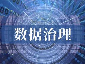 数据治理是组织对其数据资产进行管理的整体框架与方法体系