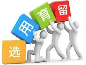 人力资源选、用、育、留流程体系流程图和详细说明